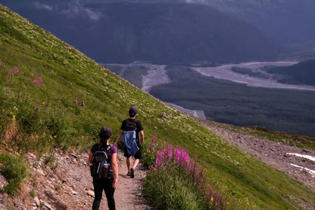 harding Icesfield Trail