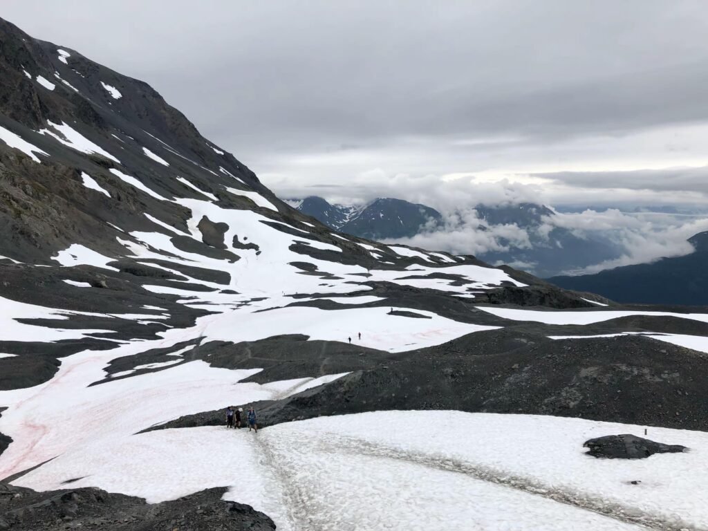 Alaska Harding Icefiled