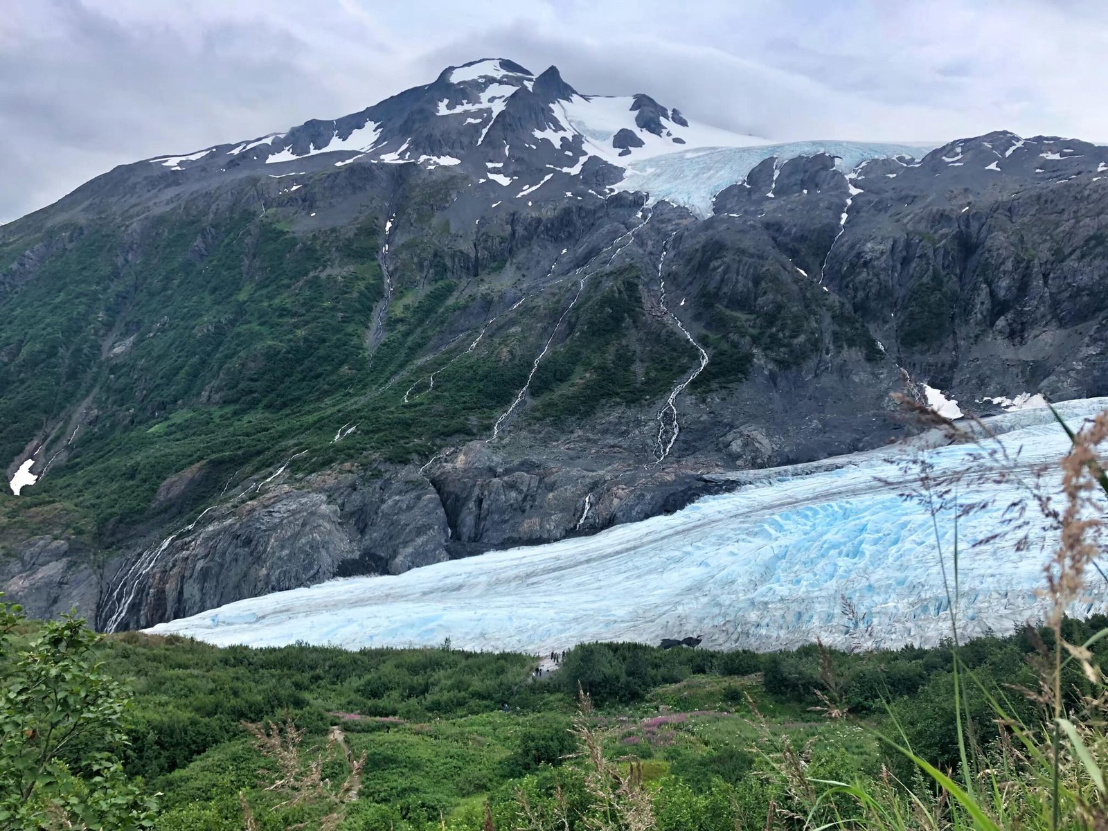 Alaska Harding Icefiled