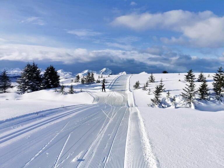 cross country skiing