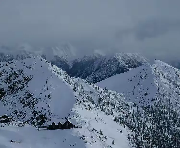 Canadian Rockies Ski Trip - Top of Kicking Horse Ski Resort