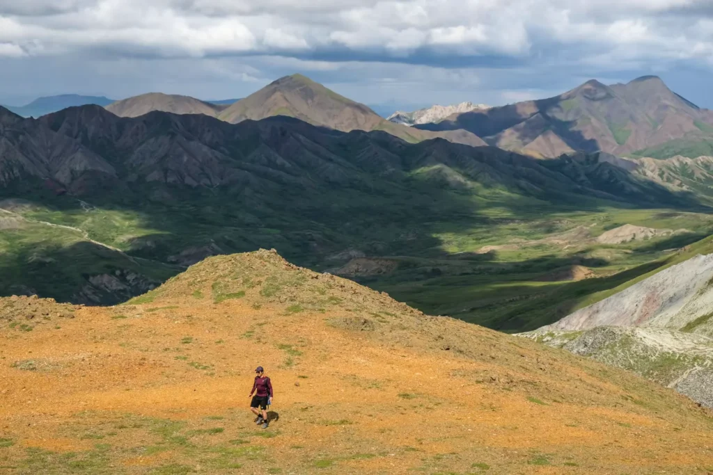 Kevin at Denali National Park