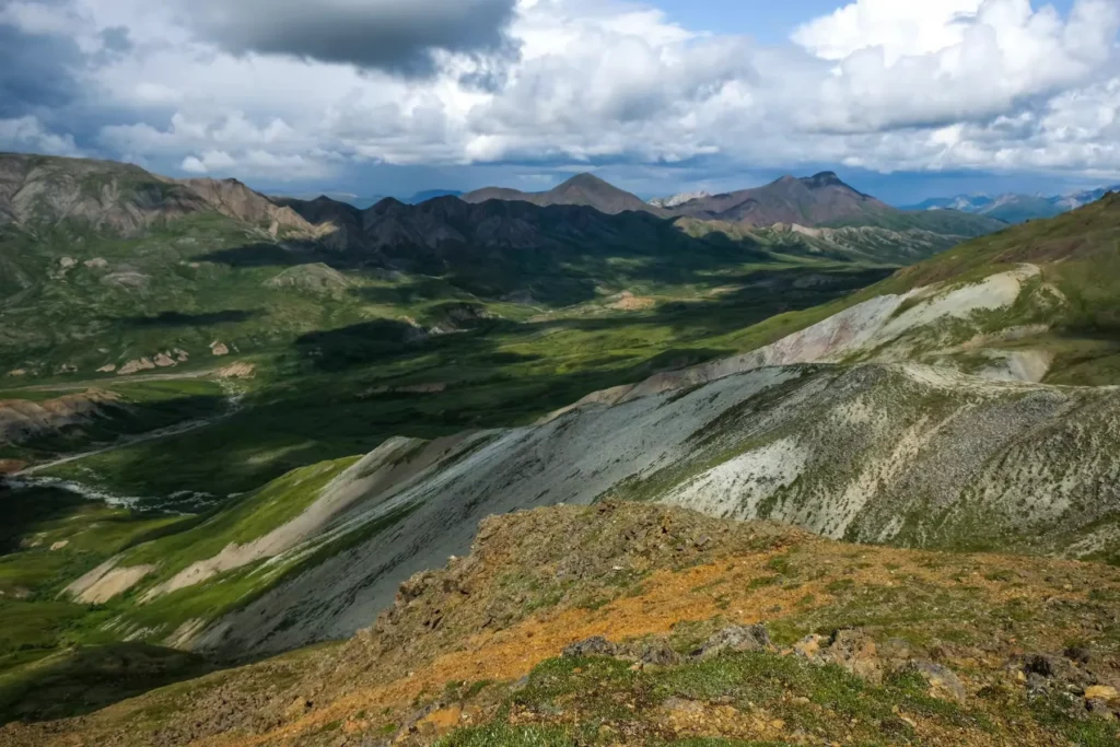 View on Denali National Park Bus Tour