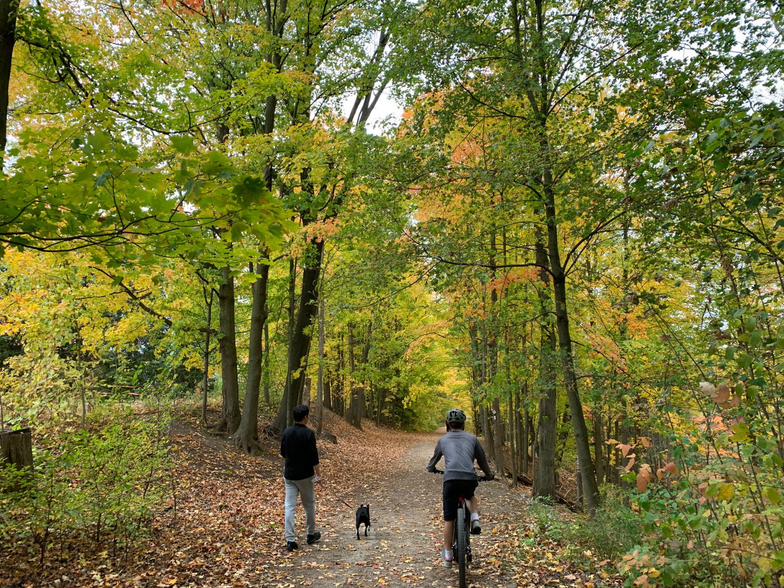 Kelso Conservation Area Hiking Trails: Bruce Trail Guide & Maps