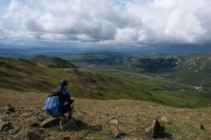 Thorofare Ridge Trail -Denali National Park