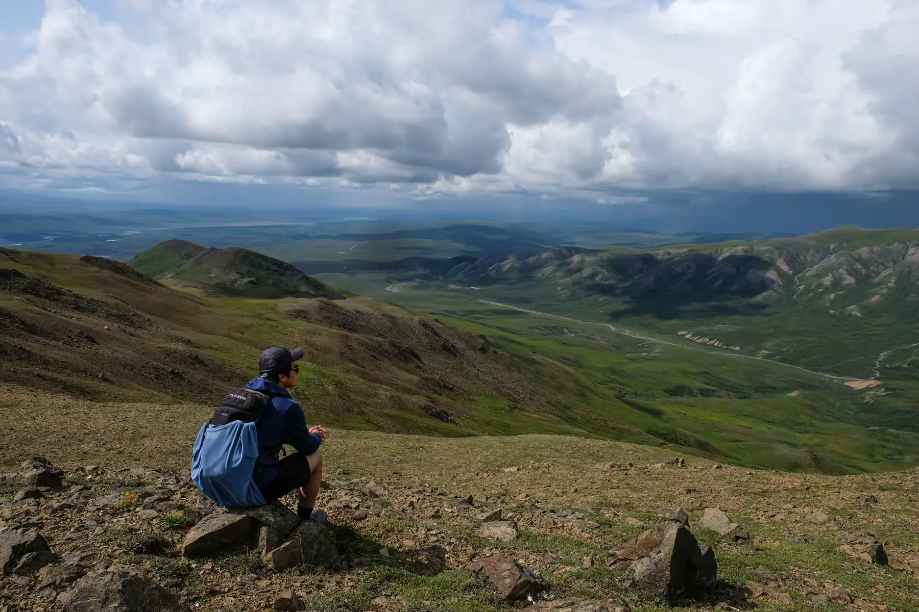 Thorofare Ridge Trail -Denali National Park