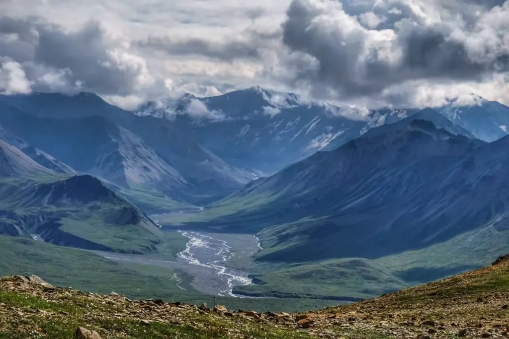 View on Denali National Park Bus Tour