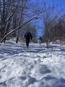 Bruce Trail Annual Winter Trail Closures