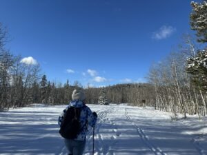 Winter Hiking Essentials - hiking poles