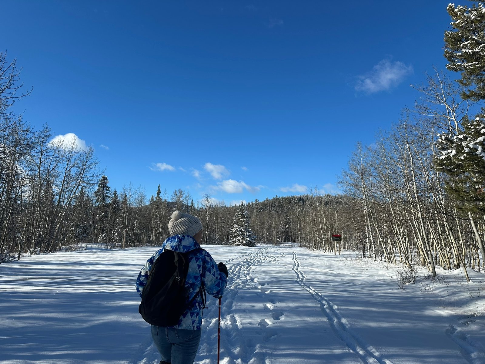 Winter Hiking Essentials - hiking poles