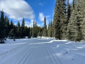Peter Lougheed Cross Country Ski Trail Conditions