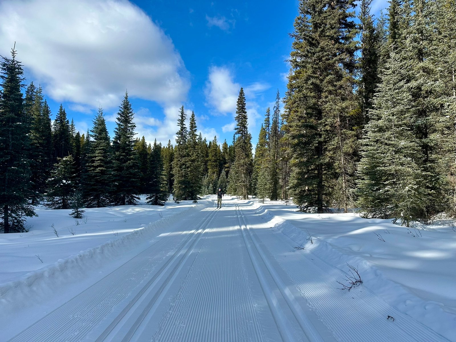 Peter Lougheed Cross Country Ski Trail Conditions