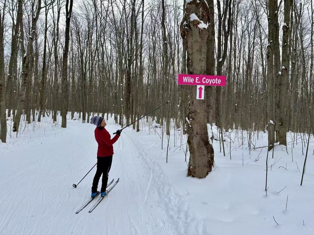 Cross Country Skiing Near Toronto - Scenic Cave Nordic Center