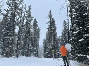 best free XC skiing near Calgary - WBC