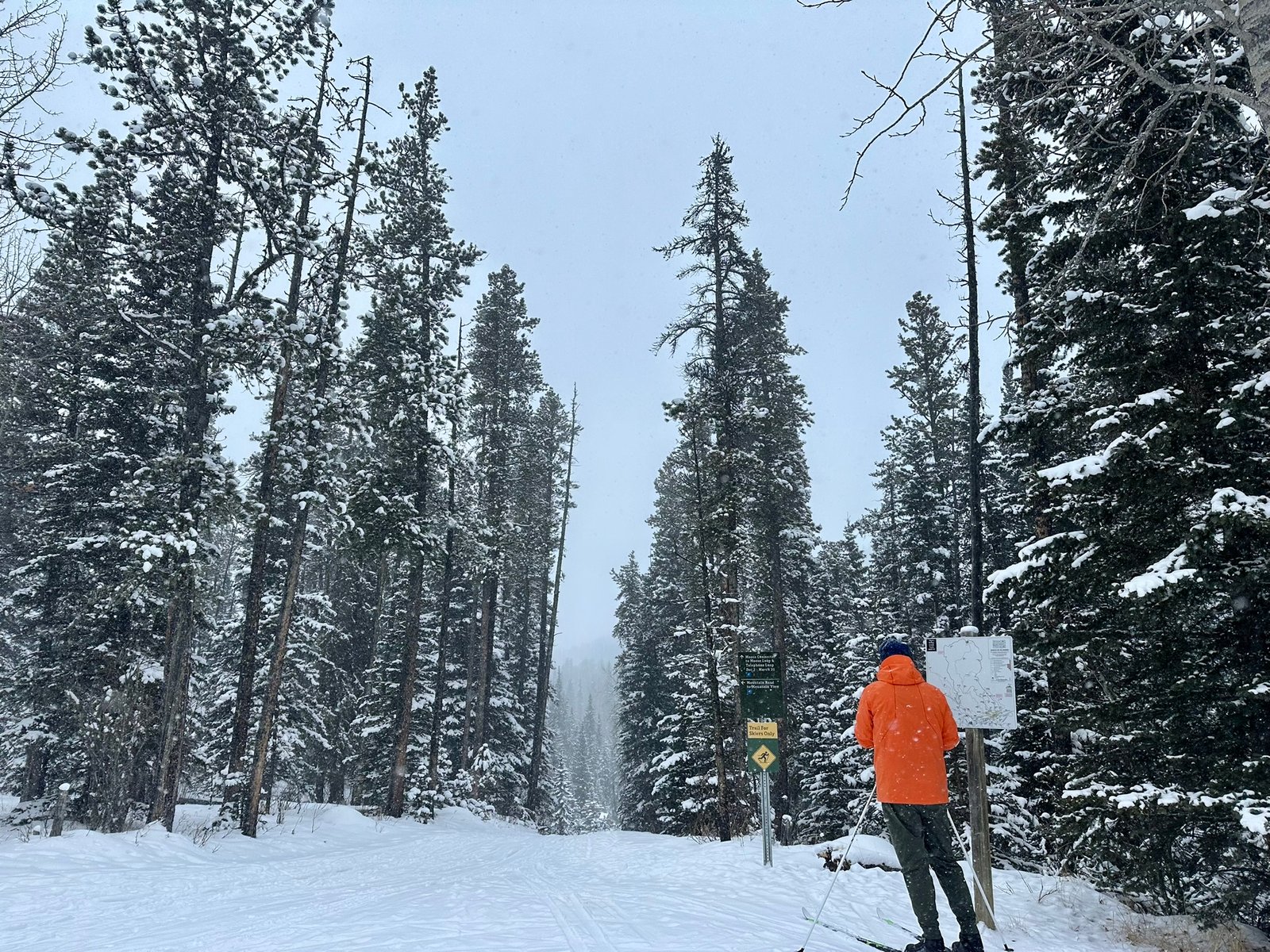 best free XC skiing near Calgary - WBC