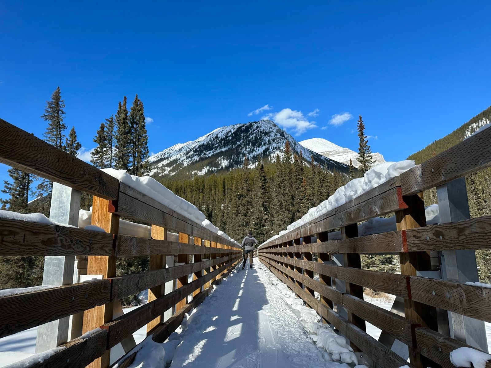 Bridge on Cascade Valley Trail XC Skiing
