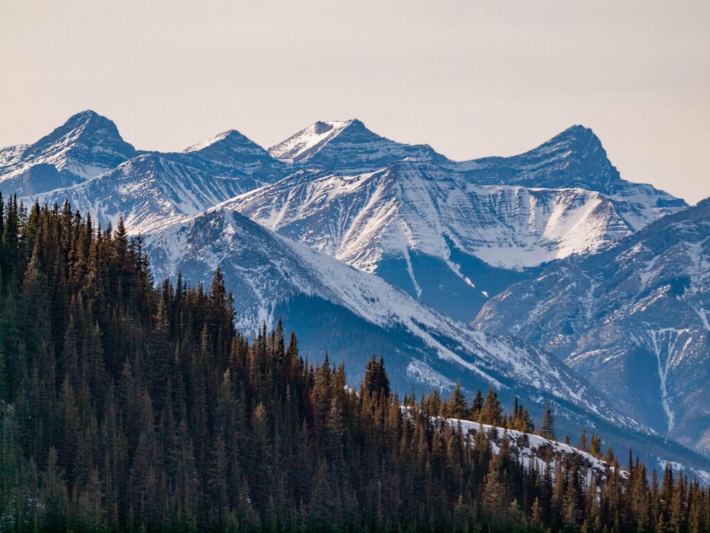 Cox Hill Winter Hike