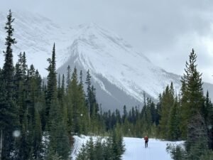 Mount Shark Skiing Conditions