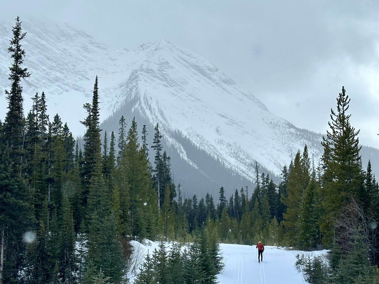 Mount Shark Skiing Conditions