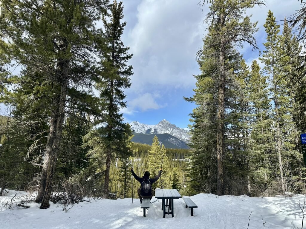 Ribbon Creek Cross Country Skiing