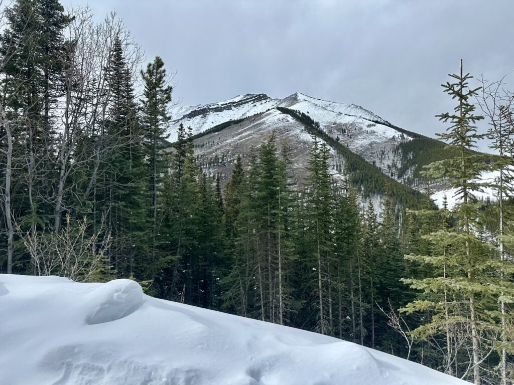 Ribbon Creek Cross Country Skiing trails