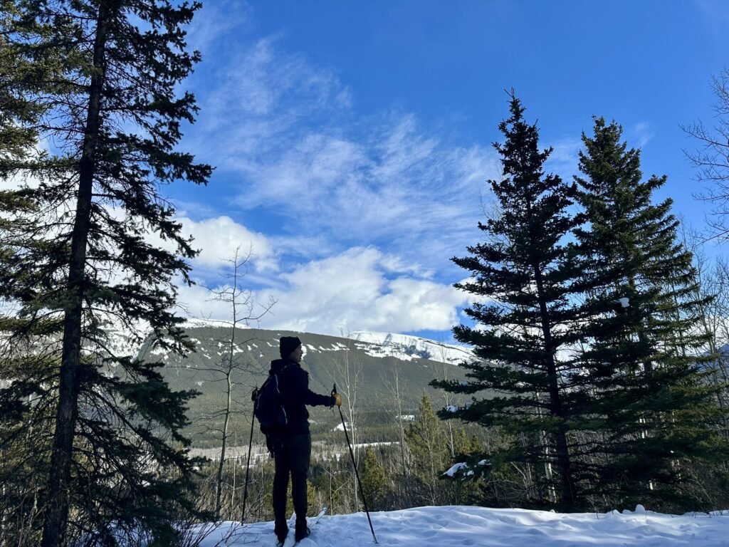 A loookout on Ribbon Creek Cross Country Skiing trails