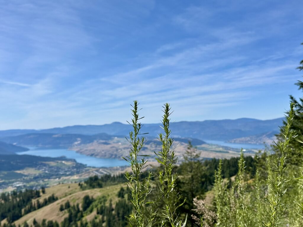 a view of 2 lakes on Becker Lake Trail
