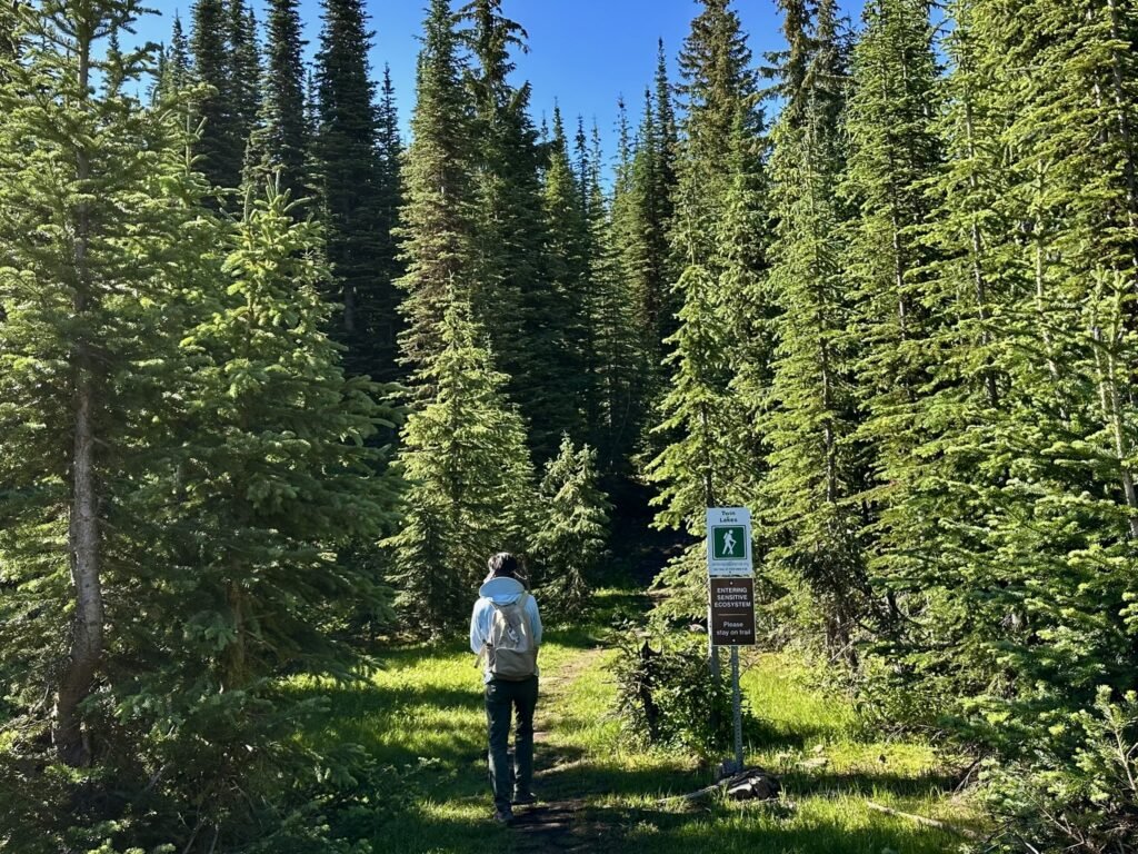 Trailhead of Twin Lakes Trail