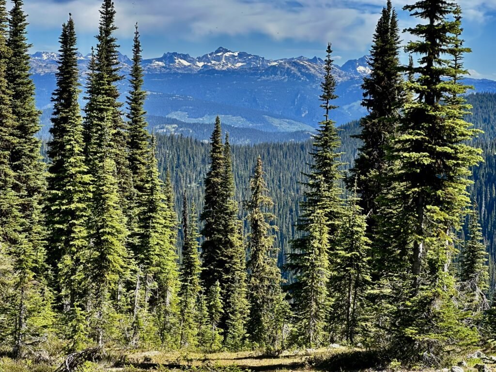 Snow peak view from Twin Lakes Trail