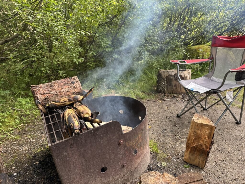 Dinner at Illecillewaet Campground