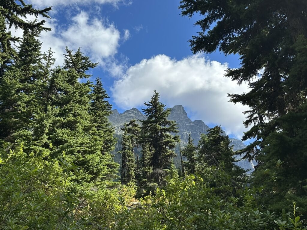 Hermit Trail under treeline