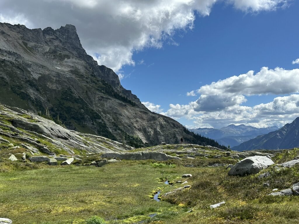 Alpine meadow on Hermit Trail