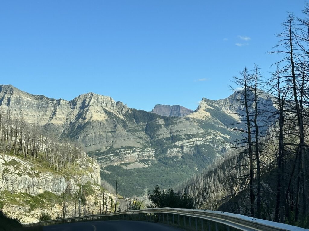Scenic drive to Cameron Lake