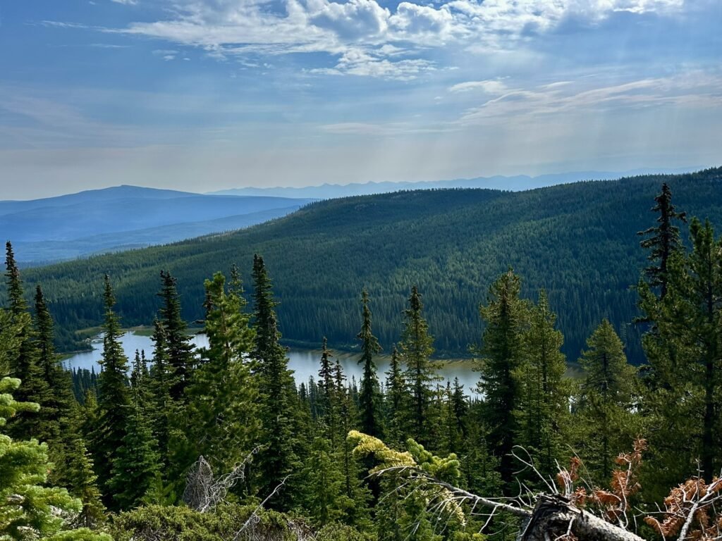viewpoint Canyon Lakes
