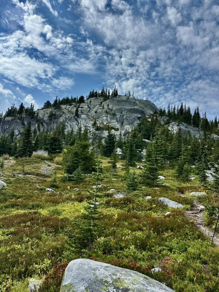 sub-alpine meadow on Little White Mountain Trail