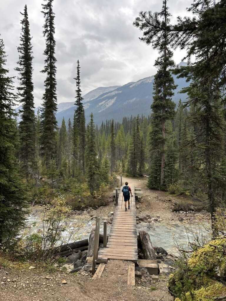 Bridge on Yoho River