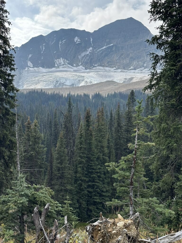 View on Little Yoho Valley Trail