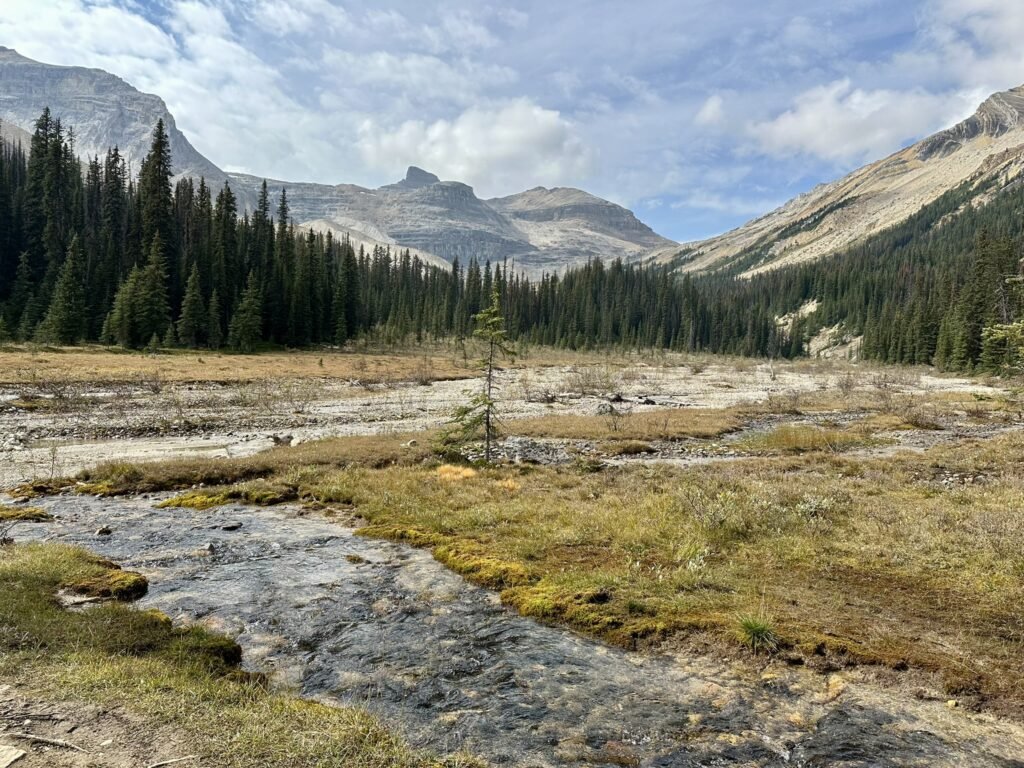 Iceline Trail Loop - view from ACC hut