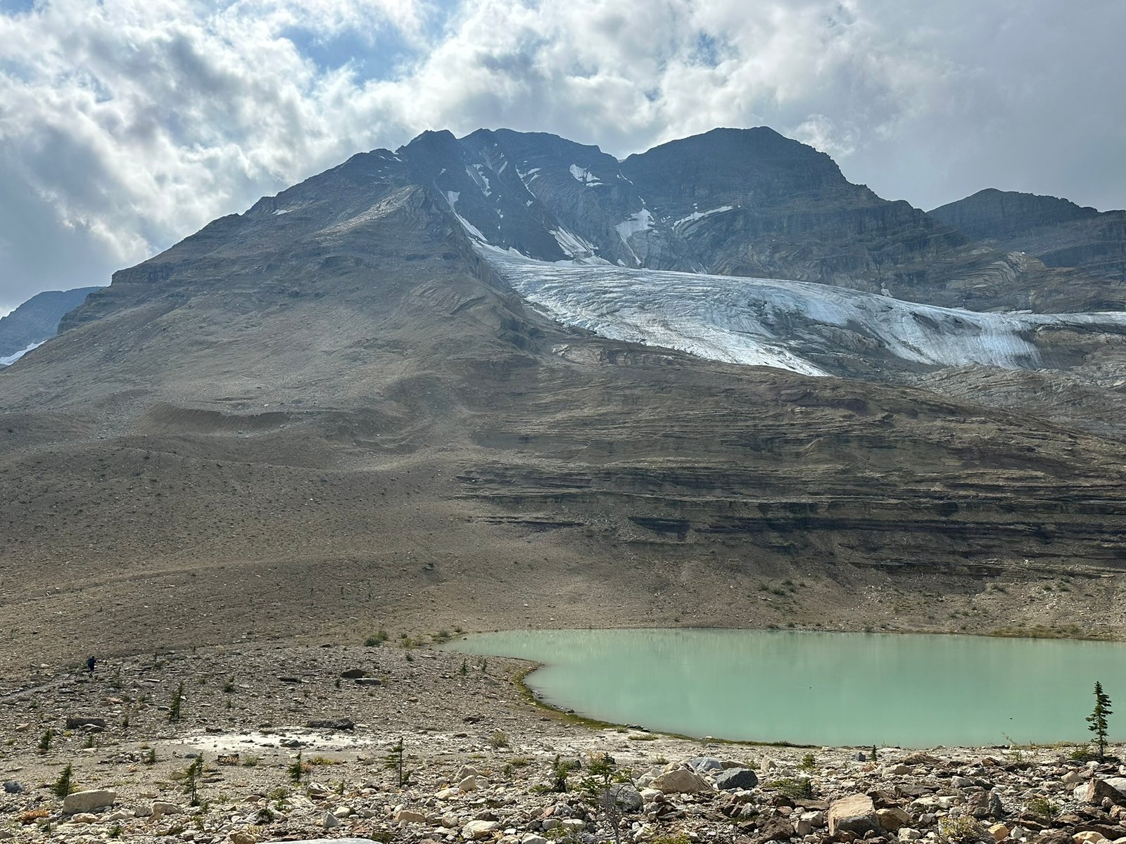 iceline trail loop Yoho National Park