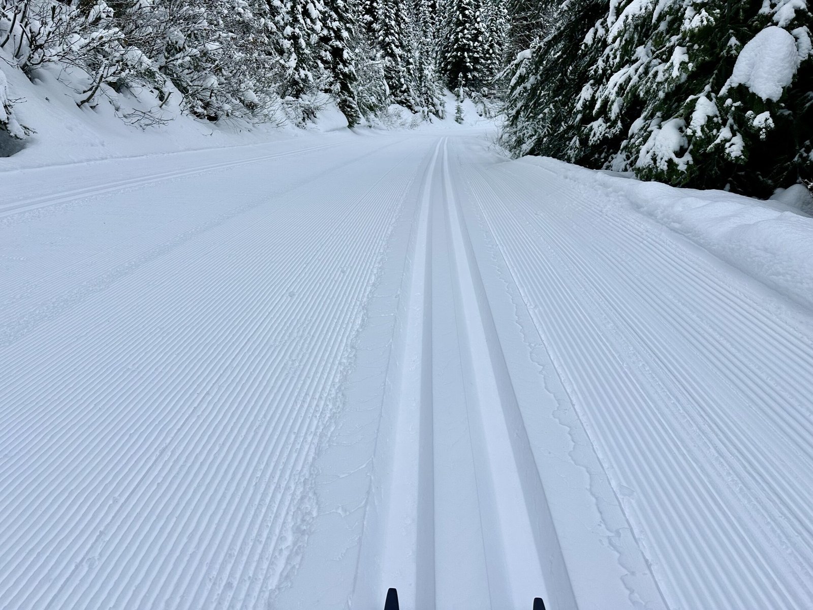 Cross-country skiing cost Silverstar