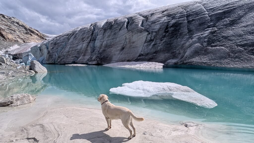 Perley Rock Trail - Glacier Lake