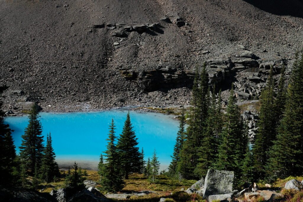 Schaffer Lake