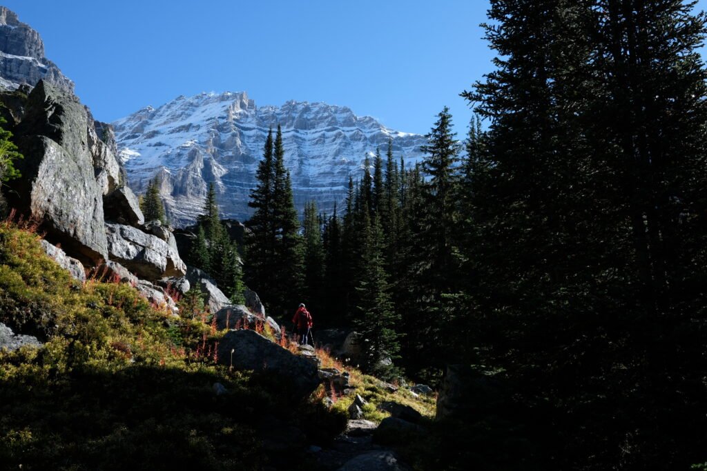 Lake Oesa trail