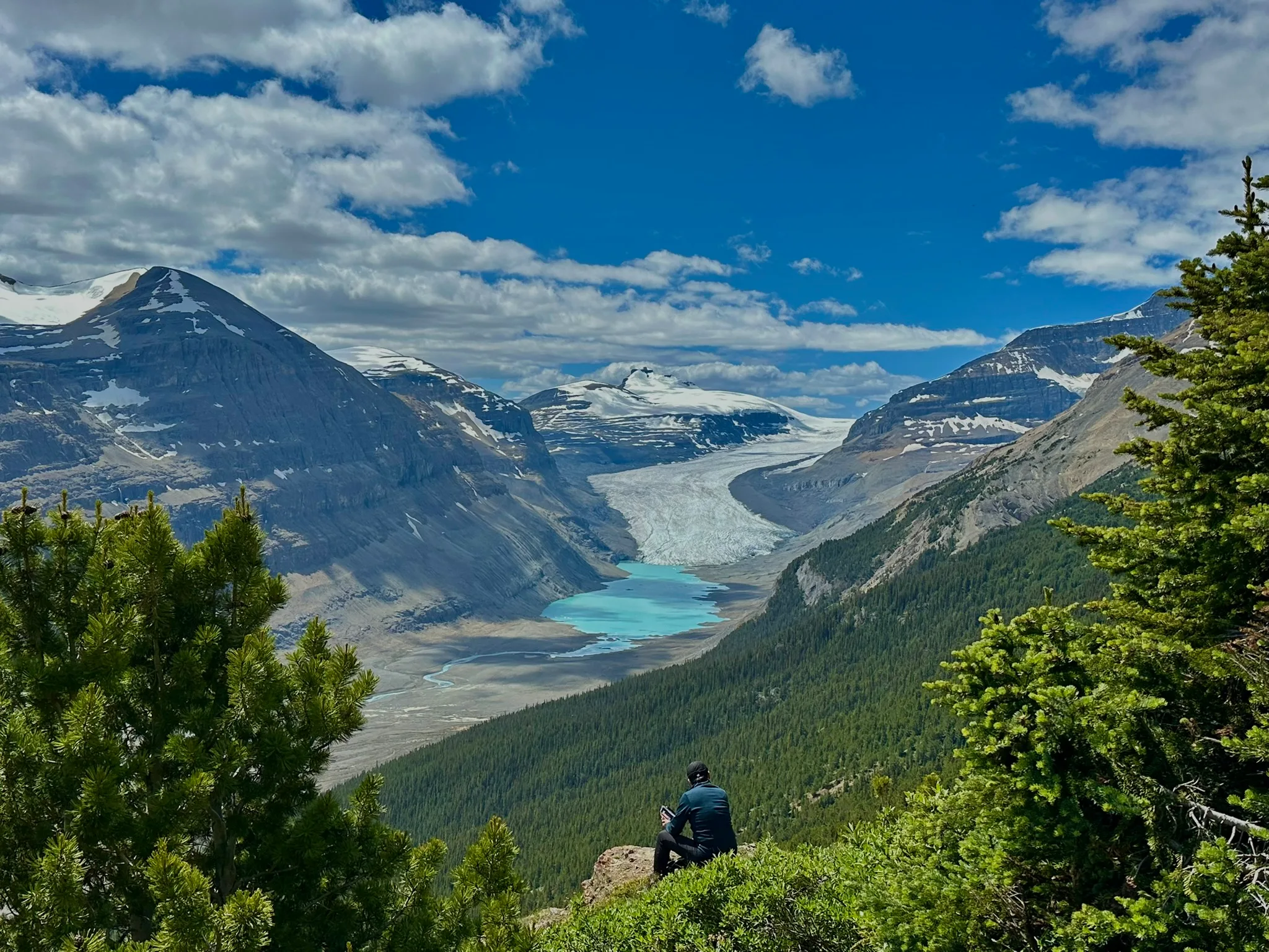 Parker Ridge Trail overlooking Saskatchewan Glacier